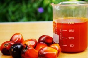 Lire la suite à propos de l’article L&rsquo;huile de palme, une huile utile au monde