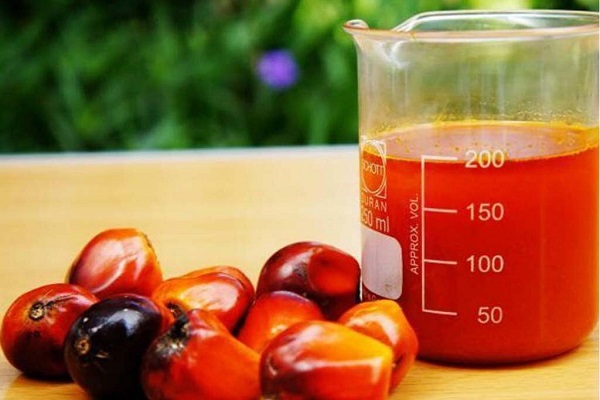 Lire la suite à propos de l’article L&rsquo;huile de palme, une huile utile au monde